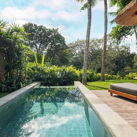 Maya Ubud Resort & Spa-3